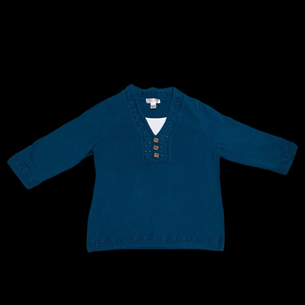 Adorable Blue Knit Sweater
